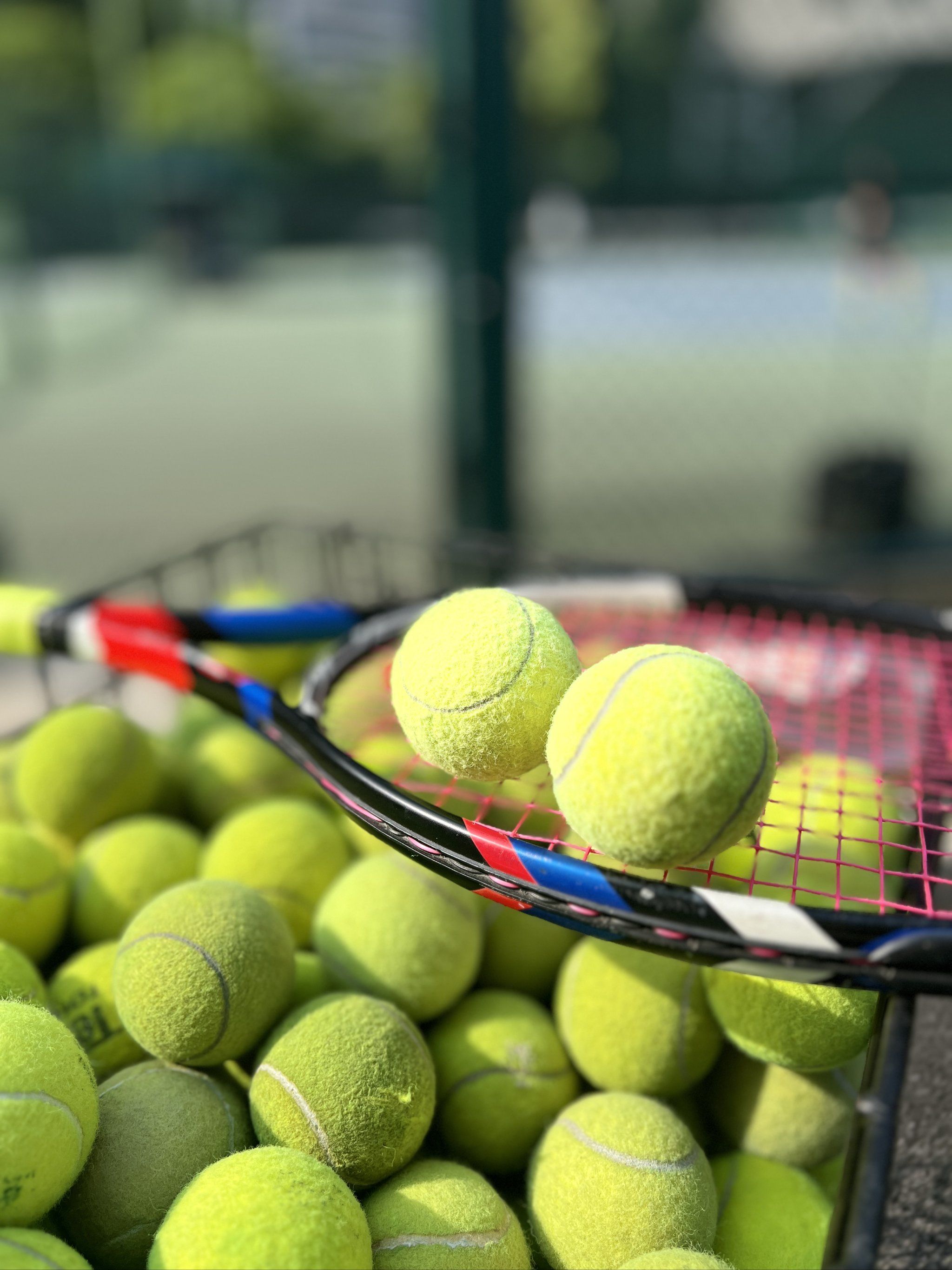 对手的研究 对手的研究